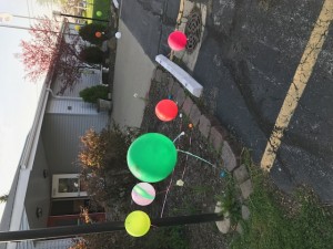 IMG 1459