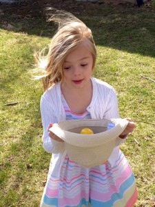 eggs1c 